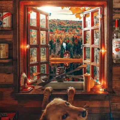 幸运彩票下载app